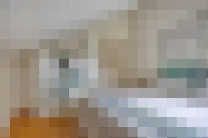 Veilig Oord 44 Bladel thumbnail 40