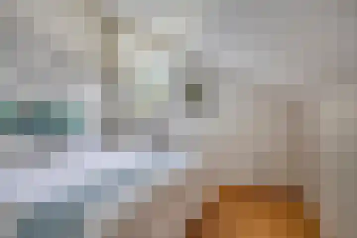 Veilig Oord 44 Bladel thumbnail 41