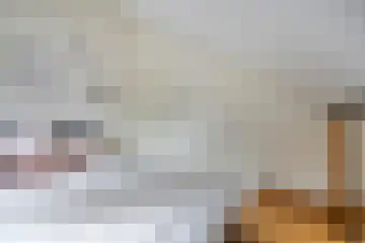 Veilig Oord 44 Bladel thumbnail 43