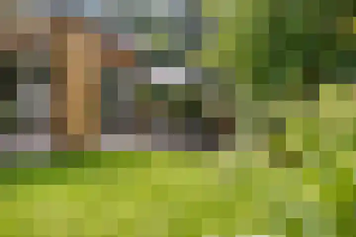 Veilig Oord 44 Bladel thumbnail 47