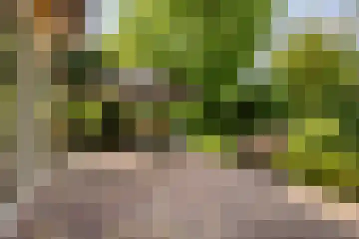 Veilig Oord 44 Bladel thumbnail 48