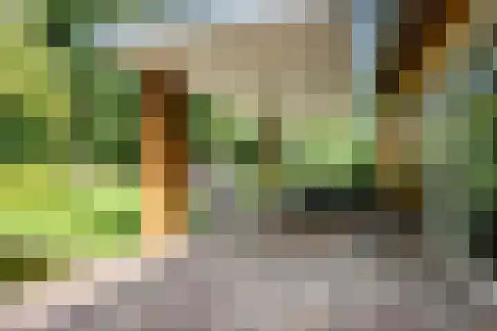 Veilig Oord 44 Bladel thumbnail 49