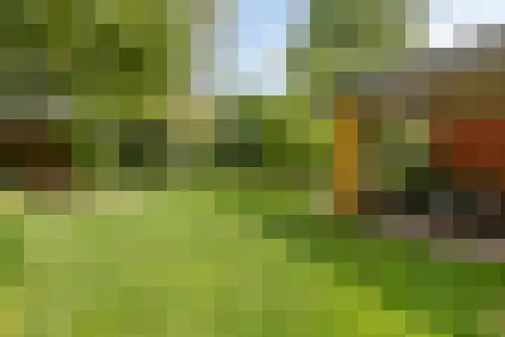 Veilig Oord 44 Bladel thumbnail 51