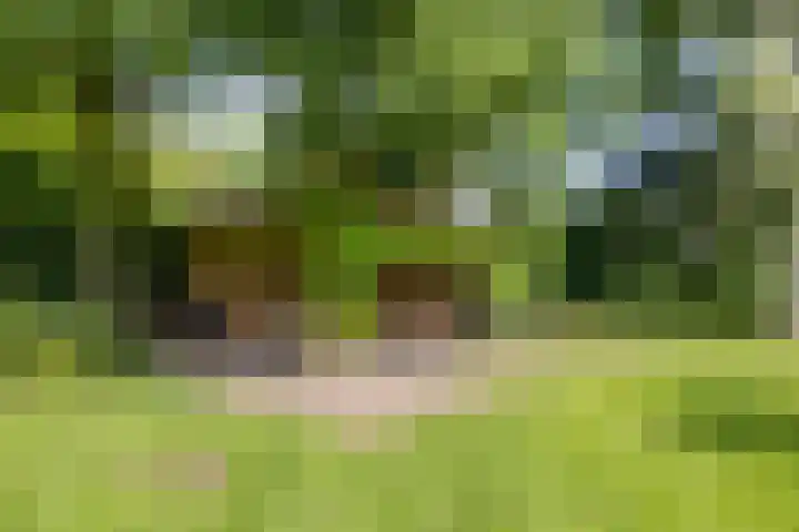 Veilig Oord 44 Bladel thumbnail 52
