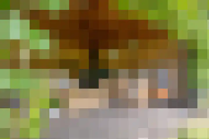 Veilig Oord 44 Bladel thumbnail 53
