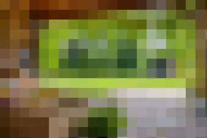 Veilig Oord 44 Bladel thumbnail 54