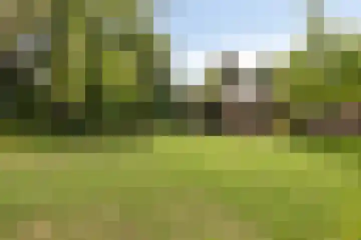 Veilig Oord 44 Bladel thumbnail 55