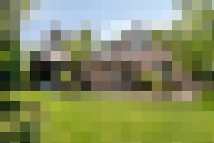 Veilig Oord 44 Bladel thumbnail 56