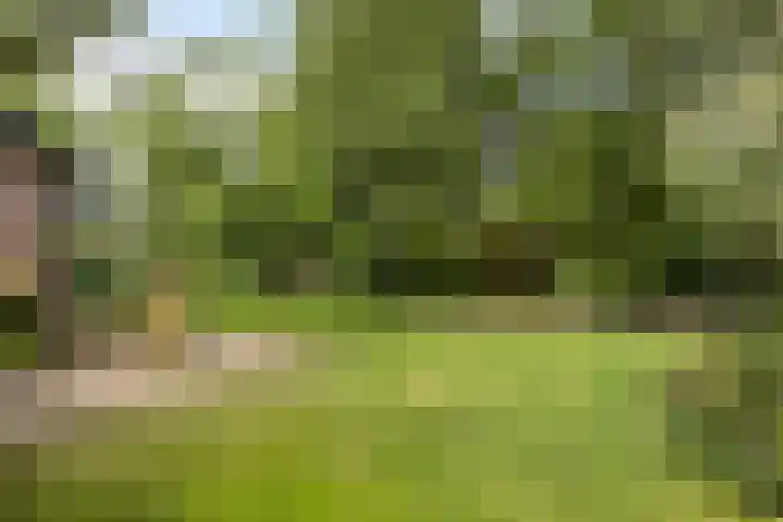 Veilig Oord 44 Bladel thumbnail 57