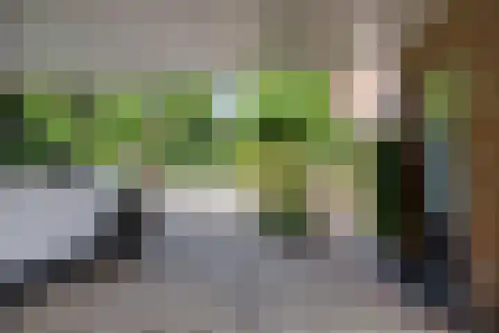 Veilig Oord 44 Bladel thumbnail 59