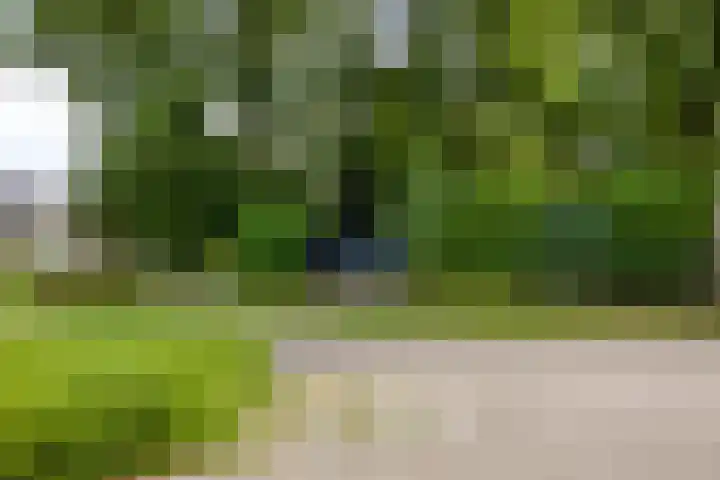 Veilig Oord 44 Bladel thumbnail 60