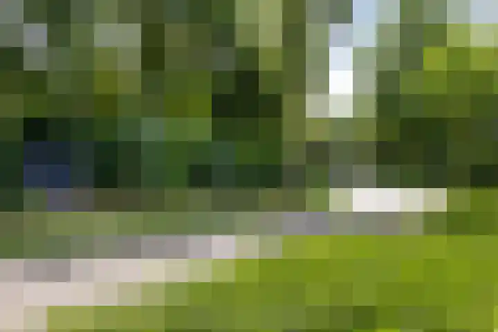 Veilig Oord 44 Bladel thumbnail 61