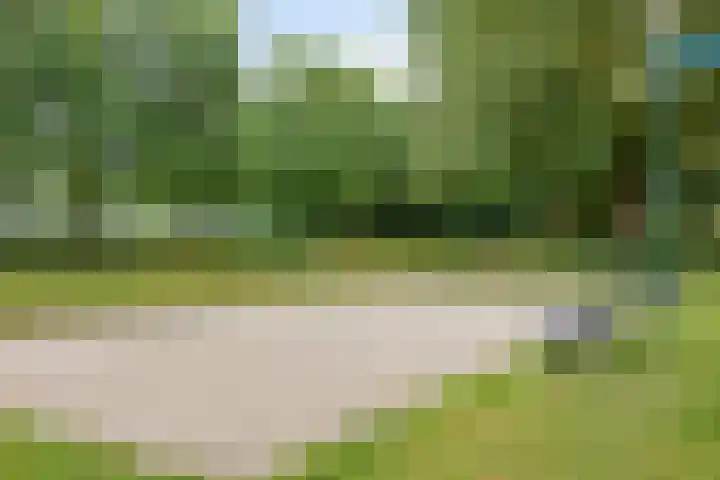Veilig Oord 44 Bladel thumbnail 62