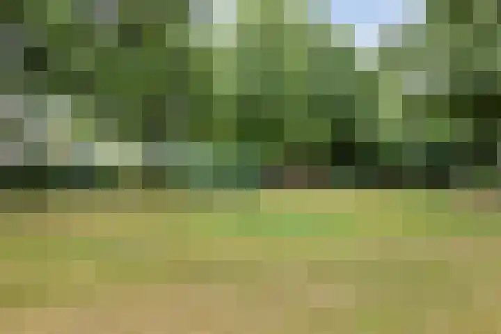 Veilig Oord 44 Bladel thumbnail 63