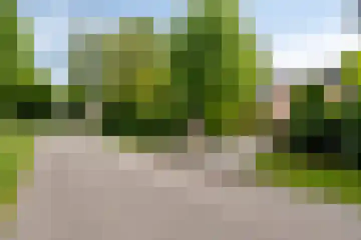 Veilig Oord 44 Bladel thumbnail 64
