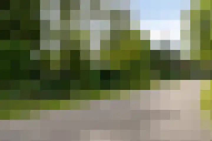 Veilig Oord 44 Bladel thumbnail 65