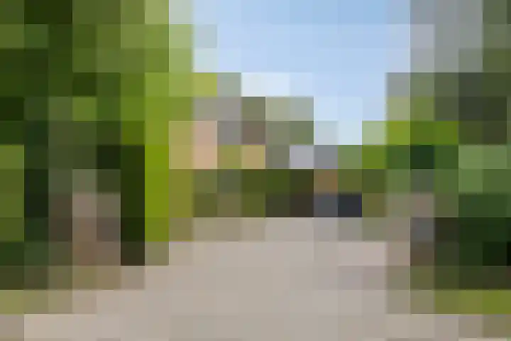 Veilig Oord 44 Bladel thumbnail 69