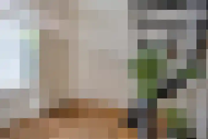 Veilig Oord 44 Bladel thumbnail 7