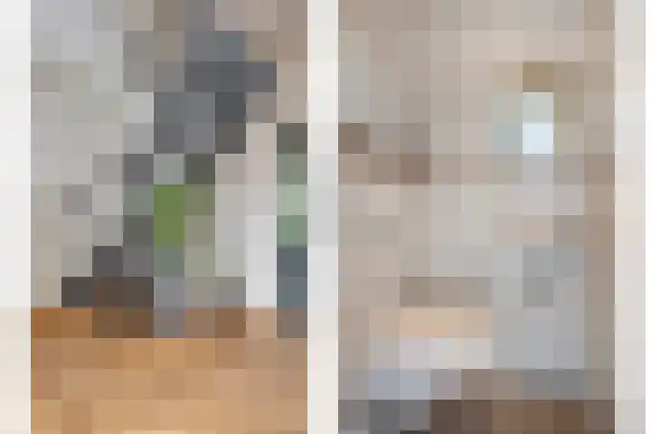 Veilig Oord 44 Bladel thumbnail 8