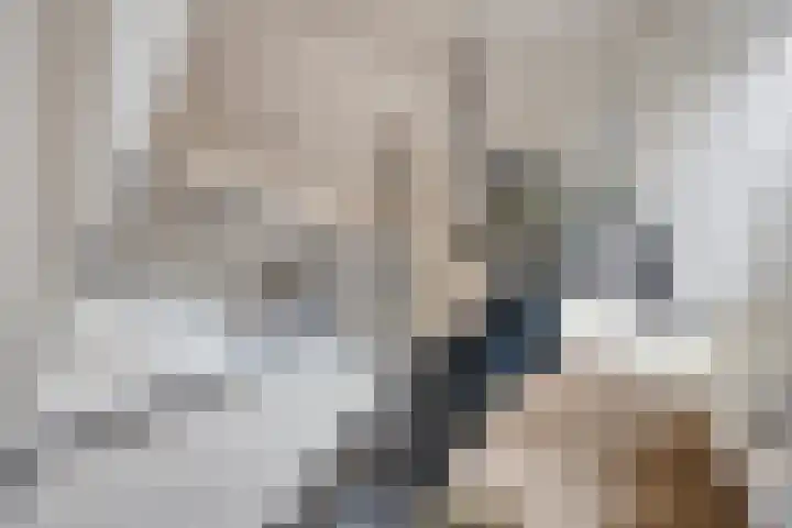 Veilig Oord 44 Bladel thumbnail 9