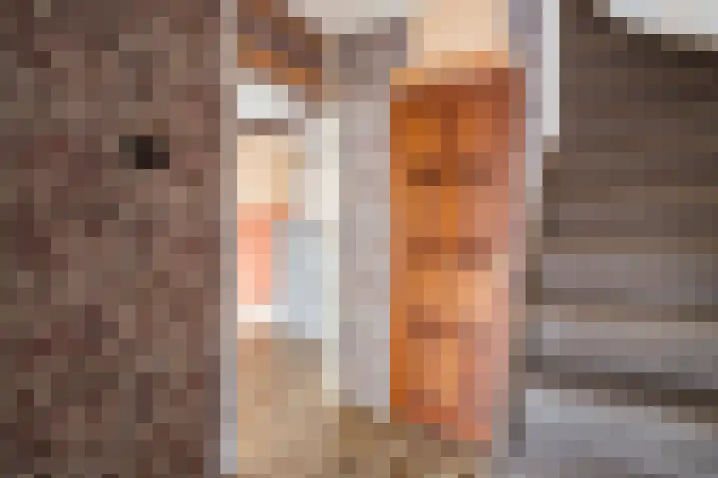 Veilingdreef 10 Zwijndrecht thumbnail 7