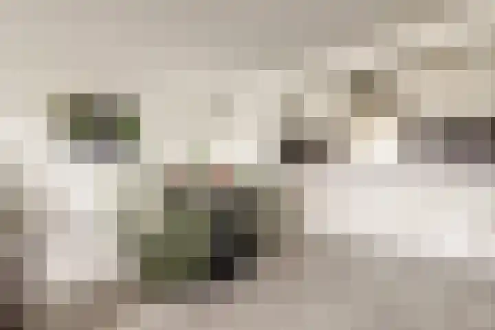 Veilingdreef 52 Zwijndrecht thumbnail 10
