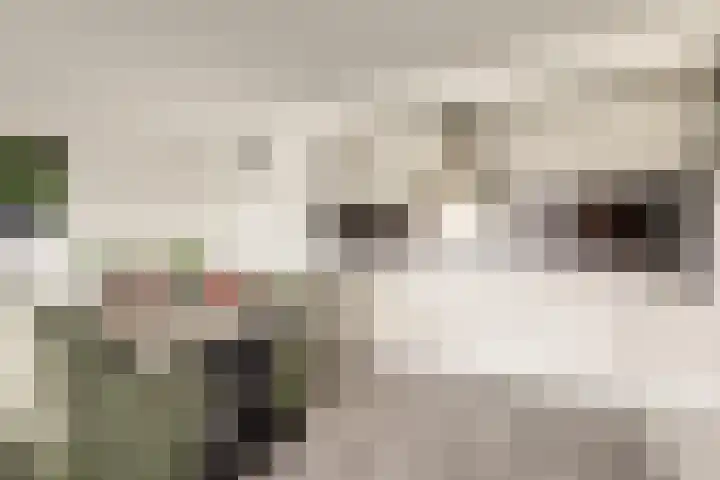 Veilingdreef 52 Zwijndrecht thumbnail 11