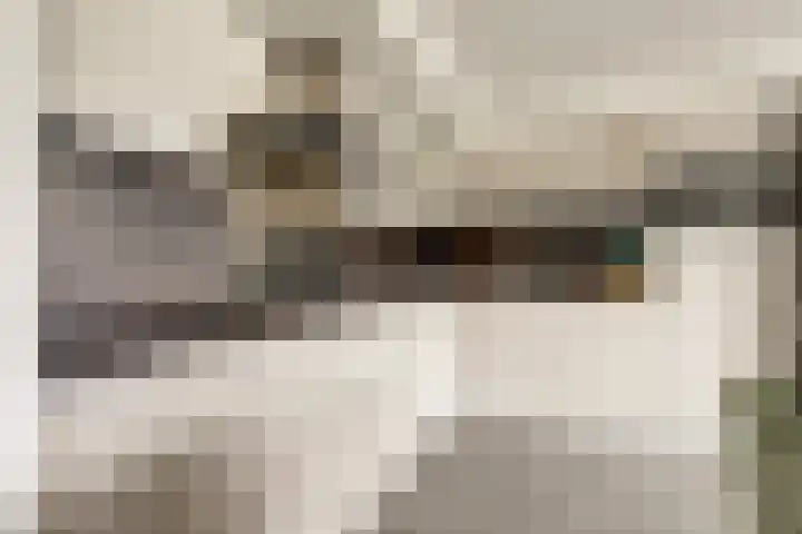 Veilingdreef 52 Zwijndrecht thumbnail 12