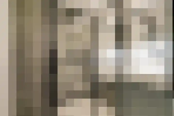 Veilingdreef 52 Zwijndrecht thumbnail 17