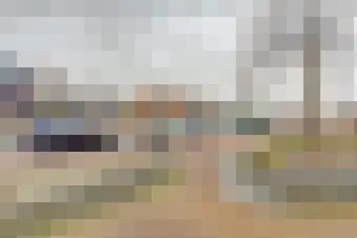 Veilingdreef 52 Zwijndrecht thumbnail 25