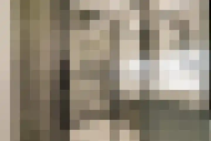 Veilingdreef 52 Zwijndrecht thumbnail 4