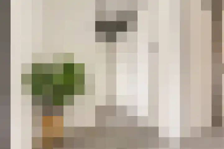 Veilingdreef 52 Zwijndrecht thumbnail 6