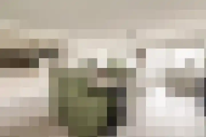 Veilingdreef 52 Zwijndrecht thumbnail 7