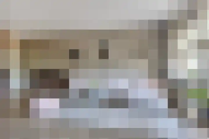 Veilingdreef 56 Zwijndrecht thumbnail 12