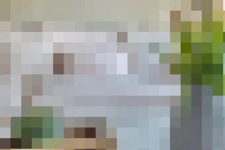 Veilingdreef 56 Zwijndrecht thumbnail 15