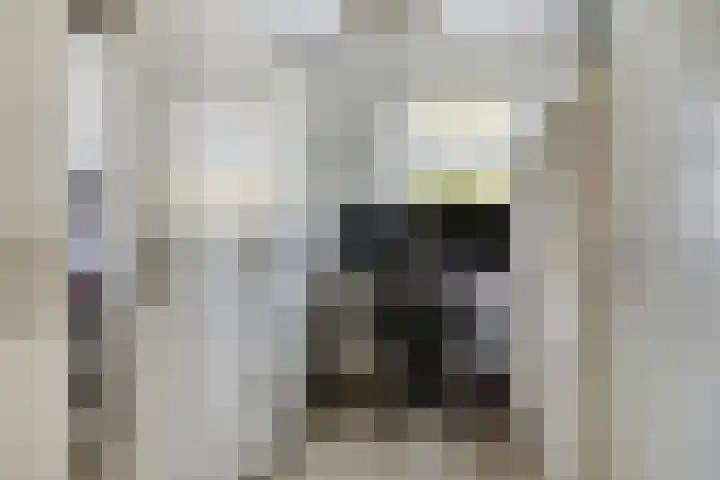 Veilingdreef 56 Zwijndrecht thumbnail 23