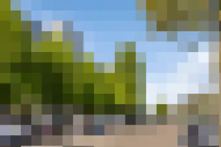 Veilingdreef 56 Zwijndrecht thumbnail 26