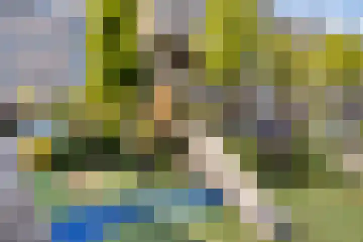 Veilingdreef 56 Zwijndrecht thumbnail 28