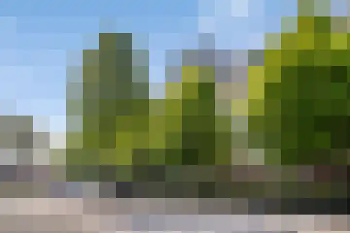 Veilingdreef 56 Zwijndrecht thumbnail 29