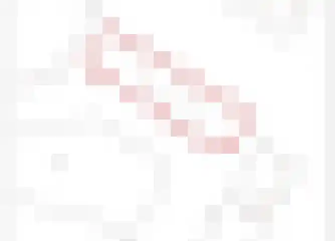 Veilingdreef 56 Zwijndrecht thumbnail 32