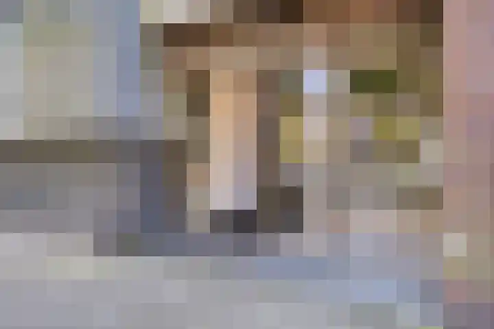 Veilingdreef 56 Zwijndrecht thumbnail 5