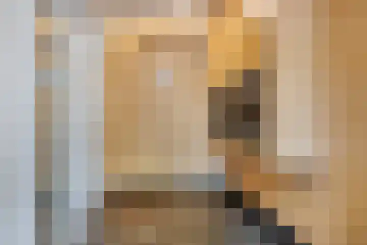 Veilingdreef 56 Zwijndrecht thumbnail 6