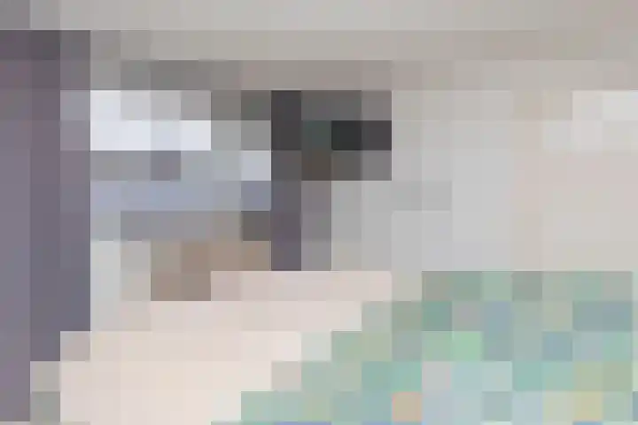 Veilingdreef 70 Zwijndrecht thumbnail 11