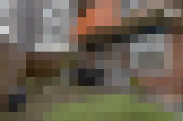 Veilingdreef 70 Zwijndrecht thumbnail 20