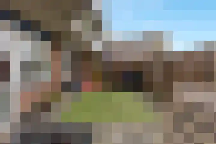 Veilingdreef 70 Zwijndrecht thumbnail 21