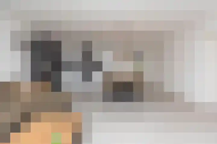 Veilingdreef 70 Zwijndrecht thumbnail 4