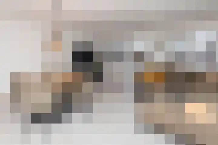 Veilingdreef 70 Zwijndrecht thumbnail 6