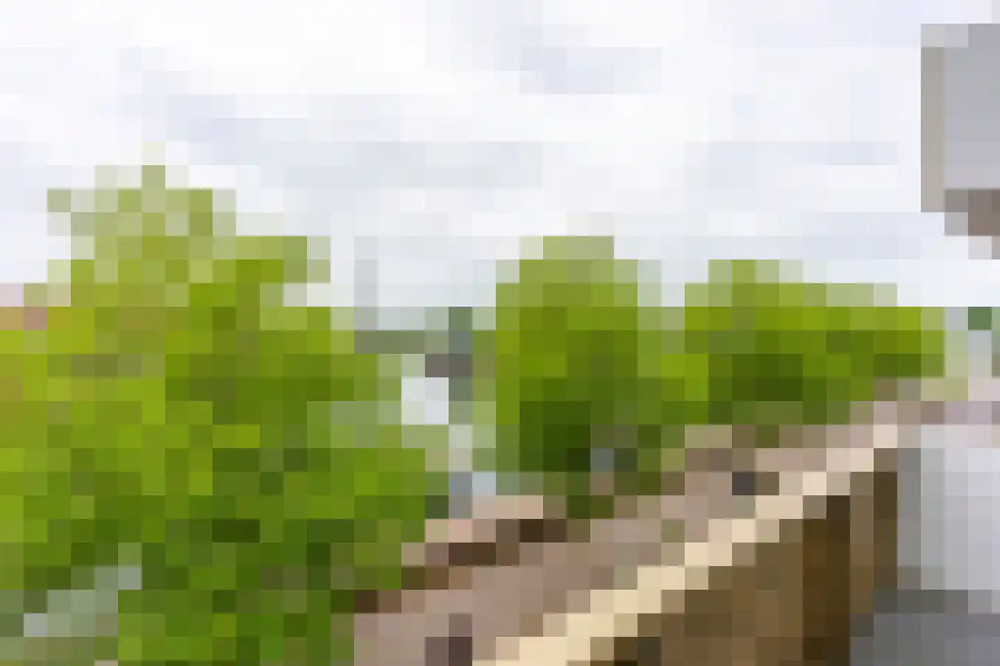 Veilinghavenkade 109 Utrecht thumbnail 14