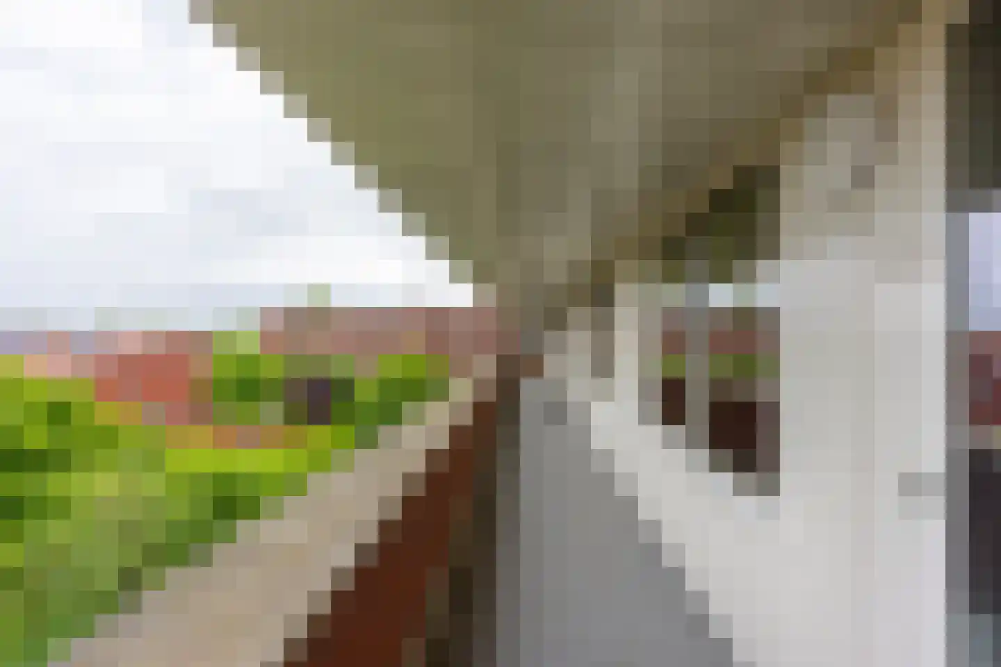 Veilinghavenkade 109 Utrecht thumbnail 49