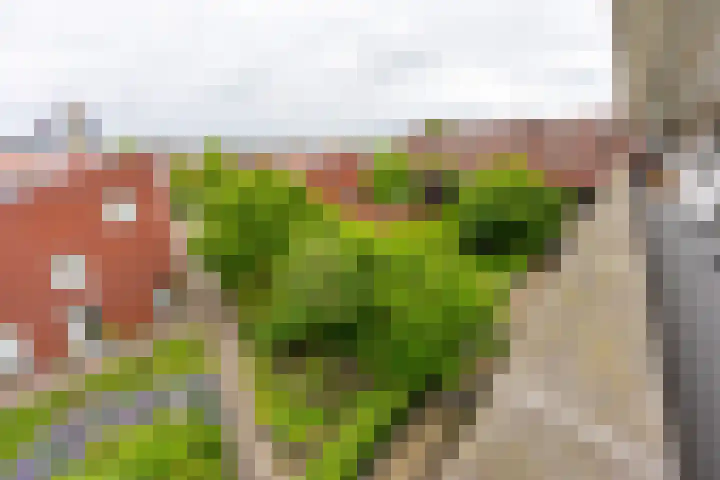 Veilinghavenkade 109 Utrecht thumbnail 50